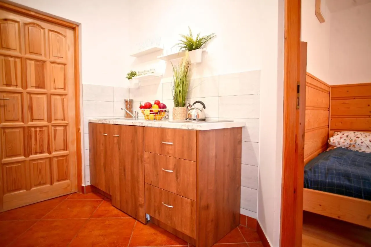 Homestay Willa Przy Skoczni Zakopane