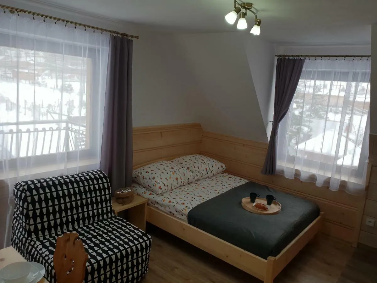 Willa Przy Skoczni Zakopane Poland